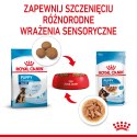 ROYAL CANIN Maxi Puppy 10x140g ROYAL CANIN Maxi Puppy 10x140g