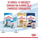 ROYAL CANIN Maxi Puppy 10x140g ROYAL CANIN Maxi Puppy 10x140g