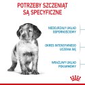 ROYAL CANIN Medium Puppy 1kg ROYAL CANIN Medium Puppy 1kg