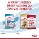 ROYAL CANIN Medium Puppy 1kg ROYAL CANIN Medium Puppy 1kg