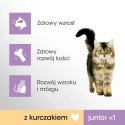 PERFECT FIT Junior Z Kurczakiem 750g PERFECT FIT Junior Z Kurczakiem 750g