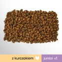 PERFECT FIT Junior Z Kurczakiem 750g PERFECT FIT Junior Z Kurczakiem 750g