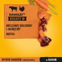 Pedigree Mokra Karma Dla Dorosłych Psów W Sosie (Z Wołowiną I Jagnięciną, Z Indykiem I Marchewką) 4x100g Pedigree Mokra Karma Dla Dorosłych Psów W Sosie (Z Wołowiną I Jagnięciną, Z Indykiem I Marchewką) 4x100g
