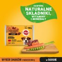 Pedigree Mokra Karma Dla Dorosłych Psów W Sosie (Z Wołowiną I Jagnięciną, Z Indykiem I Marchewką) 4x100g Pedigree Mokra Karma Dla Dorosłych Psów W Sosie (Z Wołowiną I Jagnięciną, Z Indykiem I Marchewką) 4x100g