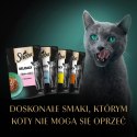 Sheba Fine Flakes In Jelly Saszetka 4x85g Sheba Fine Flakes In Jelly Saszetka 4x85g