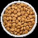 Hill's PD Prescription Diet Canine w/d 1,5kg Hill's PD Prescription Diet Canine w/d 1,5kg