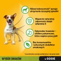 Pedigree Mokra Karma Dla Dorosłych Psów Saszetka Mix Smaków (Z Kurczakiem I Warzywami, Z Wołowiną I Warzywami, Z Indykiem I Marc Pedigree Mokra Karma Dla Dorosłych Psów Saszetka Mix Smaków (Z Kurczakiem I Warzywami, Z Wołowiną I Warzywami, Z Indykiem I Marc