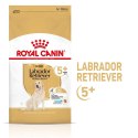 ROYAL CANIN Labrador Retriever Adult 5+ 12kg ROYAL CANIN Labrador Retriever Adult 5+ 12kg