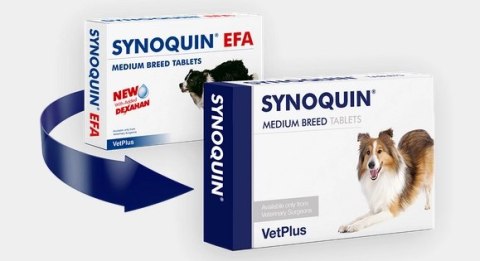 VetPlus Synoquin Efa Medium Breed 30tab VetPlus Synoquin Efa Medium Breed 30tab