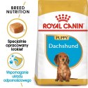 ROYAL CANIN Dachshund Puppy 1,5kg ROYAL CANIN Dachshund Puppy 1,5kg