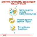 ROYAL CANIN Dachshund Puppy 1,5kg ROYAL CANIN Dachshund Puppy 1,5kg
