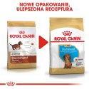 ROYAL CANIN Dachshund Puppy 1,5kg ROYAL CANIN Dachshund Puppy 1,5kg