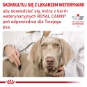 ROYAL CANIN Hypoallergenic 400g ROYAL CANIN Hypoallergenic 400g