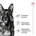 ROYAL CANIN Maxi Ageing 8+ 15kg ROYAL CANIN Maxi Ageing 8+ 15kg