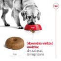 ROYAL CANIN Maxi Ageing 8+ 15kg ROYAL CANIN Maxi Ageing 8+ 15kg