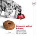 ROYAL CANIN Medium Ageing 10+ 15kg ROYAL CANIN Medium Ageing 10+ 15kg