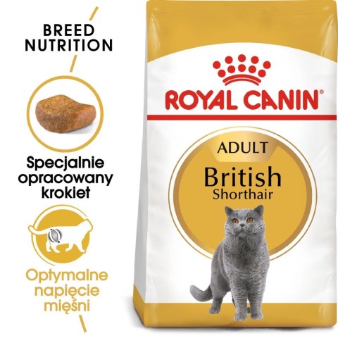 ROYAL CANIN British Shorthair Adult 10kg ROYAL CANIN British Shorthair Adult 10kg