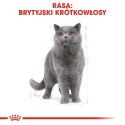 ROYAL CANIN British Shorthair Adult 10kg ROYAL CANIN British Shorthair Adult 10kg