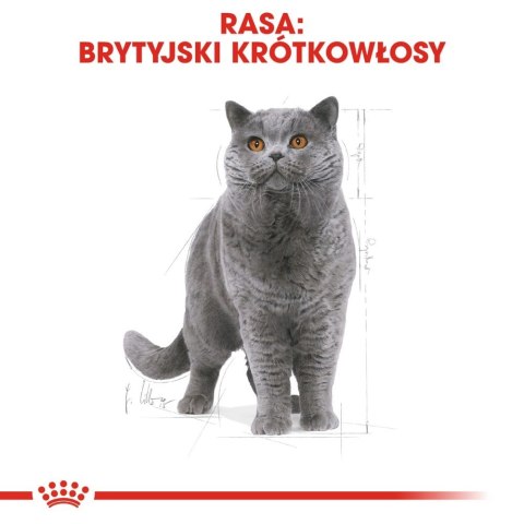 ROYAL CANIN British Shorthair Adult 10kg ROYAL CANIN British Shorthair Adult 10kg