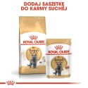 ROYAL CANIN British Shorthair Adult 10kg ROYAL CANIN British Shorthair Adult 10kg