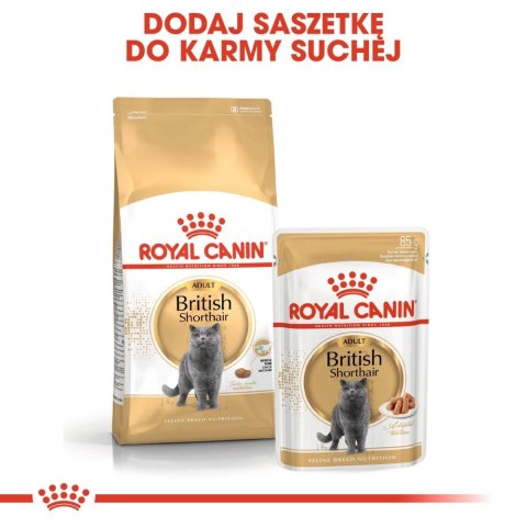 ROYAL CANIN British Shorthair Adult 10kg ROYAL CANIN British Shorthair Adult 10kg