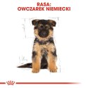 ROYAL CANIN German Shepherd Puppy 3kg ROYAL CANIN German Shepherd Puppy 3kg