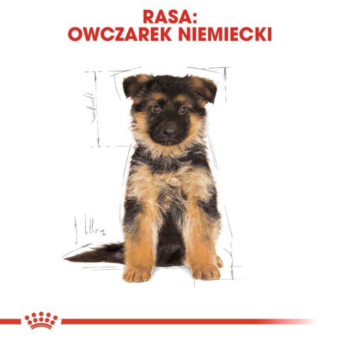 ROYAL CANIN German Shepherd Puppy 3kg ROYAL CANIN German Shepherd Puppy 3kg