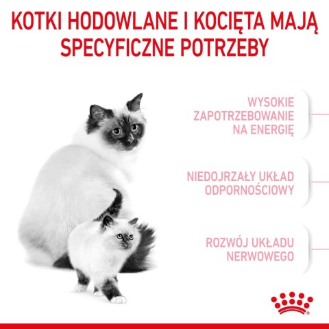 ROYAL CANIN Mother & Baby Cat 400g ROYAL CANIN Mother & Baby Cat 400g