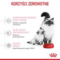 ROYAL CANIN Mother & Baby Cat 400g ROYAL CANIN Mother & Baby Cat 400g