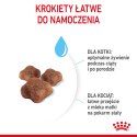 ROYAL CANIN Mother & Baby Cat 400g ROYAL CANIN Mother & Baby Cat 400g