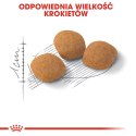 ROYAL CANIN Protein Exigent 400g ROYAL CANIN Protein Exigent 400g