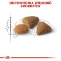 ROYAL CANIN Savour Exigent 10kg ROYAL CANIN Savour Exigent 10kg