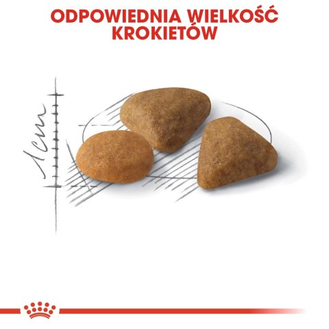 ROYAL CANIN Savour Exigent 10kg ROYAL CANIN Savour Exigent 10kg