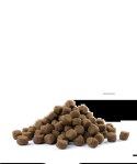 Versele-Laga Opti Life Adult Digestion Medium&Maxi Jagnięcina Z Ryżem 12,5kg Versele-Laga Opti Life Adult Digestion Medium&Maxi Jagnięcina Z Ryżem 12,5kg