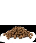 Versele-Laga Opti Life Puppy Sensitive Łosoś Z Ryżem 12,5kg Versele-Laga Opti Life Puppy Sensitive Łosoś Z Ryżem 12,5kg