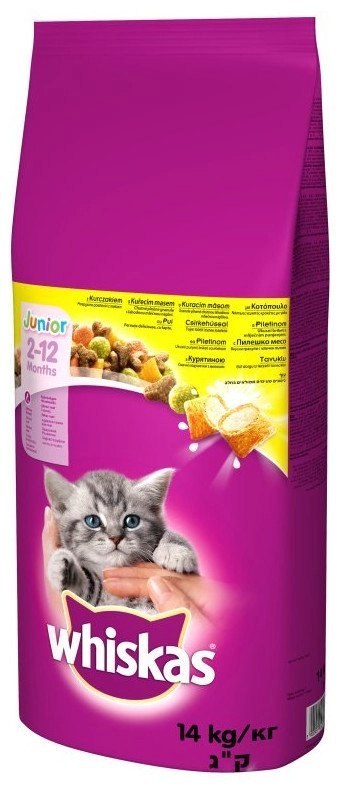 WHISKAS Karma Sucha Dla Kociąt Junior Z Kurczakiem 14kg WHISKAS Karma Sucha Dla Kociąt Junior Z Kurczakiem 14kg