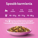 WHISKAS Karma Sucha Dla Kociąt Junior Z Kurczakiem 14kg WHISKAS Karma Sucha Dla Kociąt Junior Z Kurczakiem 14kg