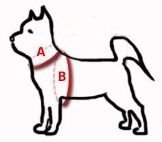 Dingo Reflex Szelki Odblaskowe Step-In Dla Psa Czarne Rozmiar 70 Dingo Reflex Szelki Odblaskowe Step-In Dla Psa Czarne Rozmiar 70