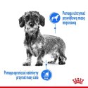 ROYAL CANIN CCN Mini Light Weight Care 3kg ROYAL CANIN CCN Mini Light Weight Care 3kg