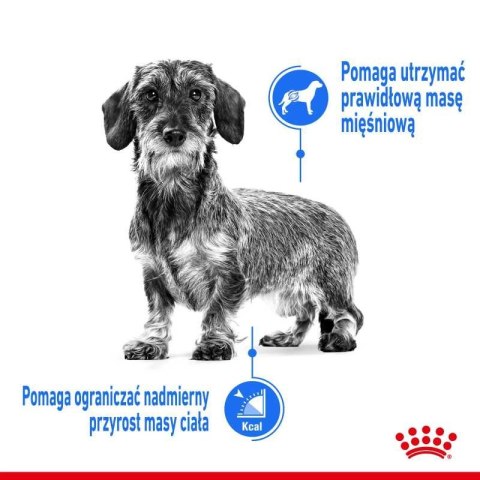 ROYAL CANIN CCN Mini Light Weight Care 3kg ROYAL CANIN CCN Mini Light Weight Care 3kg