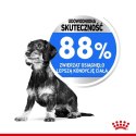 ROYAL CANIN CCN Mini Light Weight Care 3kg ROYAL CANIN CCN Mini Light Weight Care 3kg