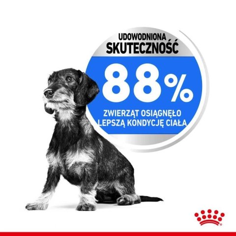 ROYAL CANIN CCN Mini Light Weight Care 3kg ROYAL CANIN CCN Mini Light Weight Care 3kg