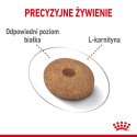 ROYAL CANIN CCN Mini Light Weight Care 3kg ROYAL CANIN CCN Mini Light Weight Care 3kg