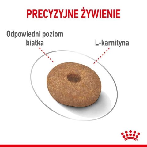 ROYAL CANIN CCN Mini Light Weight Care 3kg ROYAL CANIN CCN Mini Light Weight Care 3kg