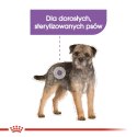 ROYAL CANIN CCN Mini Sterilised 3kg ROYAL CANIN CCN Mini Sterilised 3kg