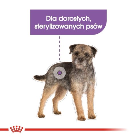 ROYAL CANIN CCN Mini Sterilised 3kg ROYAL CANIN CCN Mini Sterilised 3kg