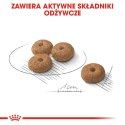 ROYAL CANIN CCN Mini Sterilised 3kg ROYAL CANIN CCN Mini Sterilised 3kg