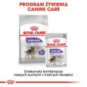 ROYAL CANIN CCN Mini Sterilised 3kg ROYAL CANIN CCN Mini Sterilised 3kg