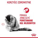 ROYAL CANIN Hairball Care 10kg ROYAL CANIN Hairball Care 10kg