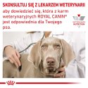 ROYAL CANIN Hypoallergenic 7kg ROYAL CANIN Hypoallergenic 7kg